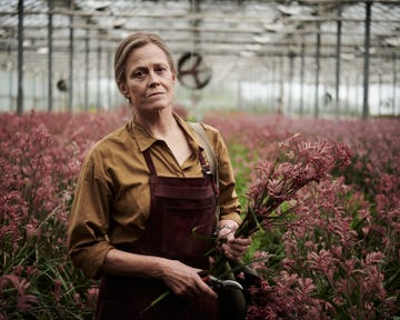 las flores perdidas de alice hart
