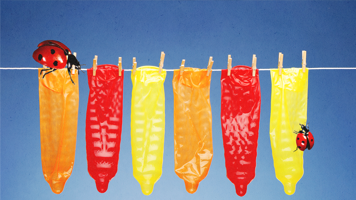 6 Best Latex-Free Condoms of 2024 - Non-Latex Condom Brands