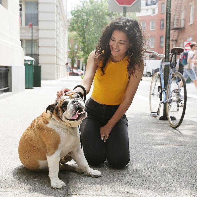 a latinx female millennial sits next to a brown and white bulldog on the sidewalk of new york city