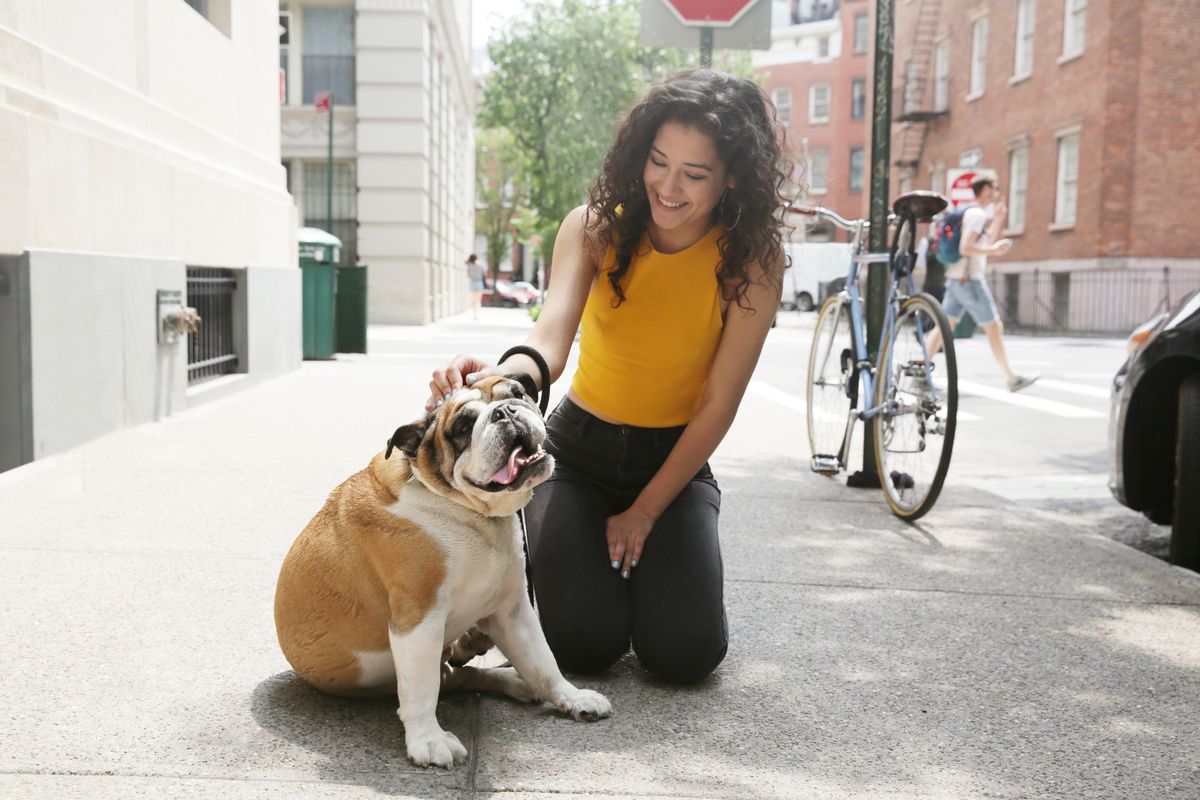 a latinx female millennial sits next to a brown and white bulldog on the sidewalk of new york city
