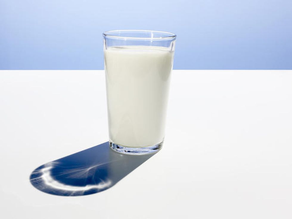 latte ornitorinco proprietà antibiotici