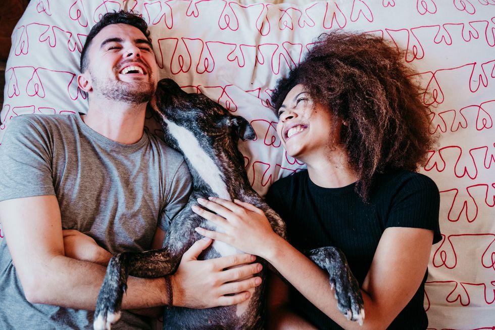 laughing couple lying on bed with dog at home