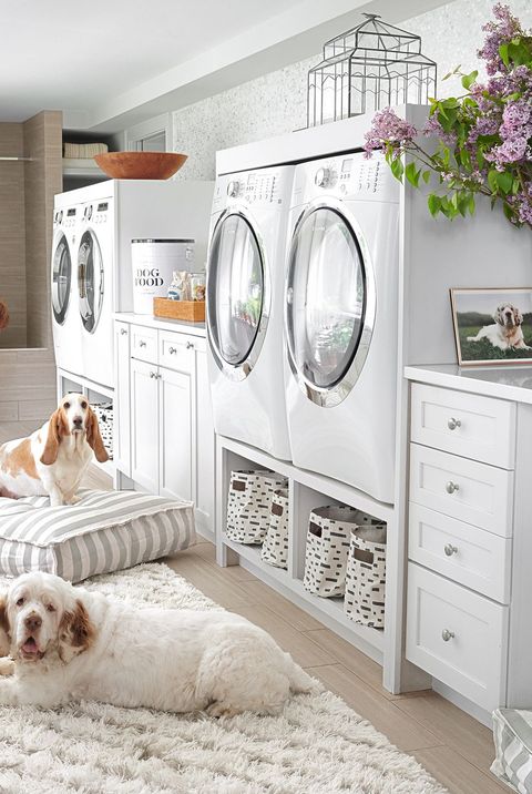 white laundry room with two dogs