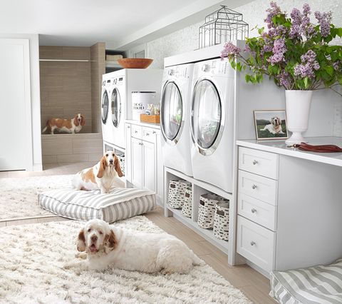 dog friendly laundry room