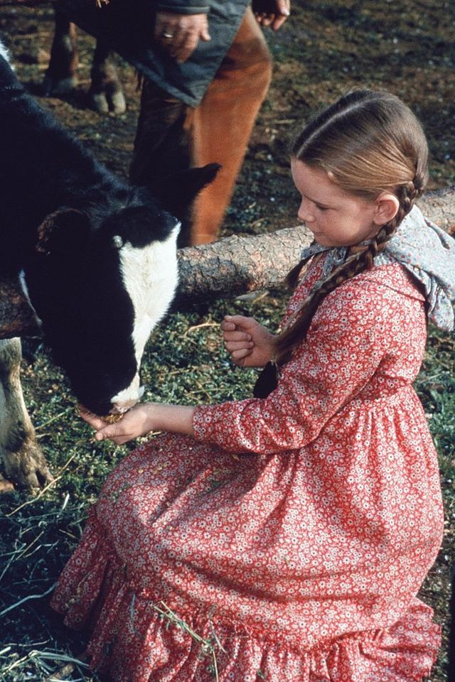 An image from the television show Little House on the Prairie