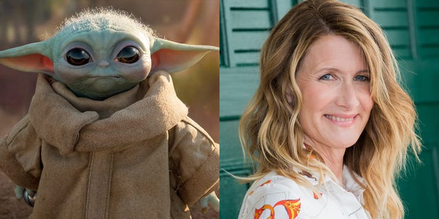 Origins of the Laura Dern and Baby Yoda Saga