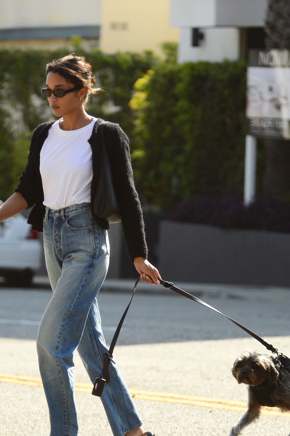 laura harrier