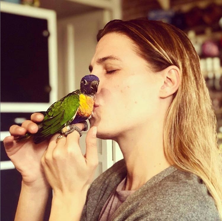 Bird, Beauty, Eye, Eating, Parrot, Hand, Shoulder, Parakeet, Budgie, Organism, 