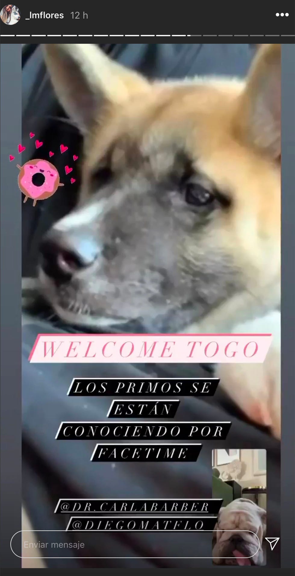 laura matamoros encantada con togo, el perro de diego matamoros y carla barber