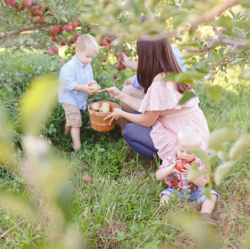 a mom and three children picking apples in an orchard
