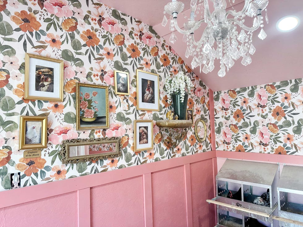 interior of pink chicken coop