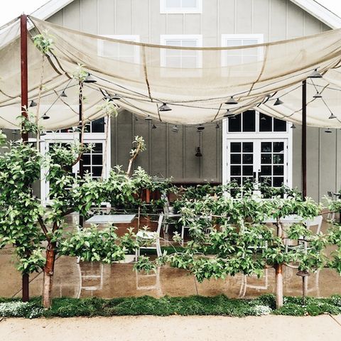 best greenhouse design