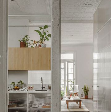 a room with a glass door and a shelf with plants on it