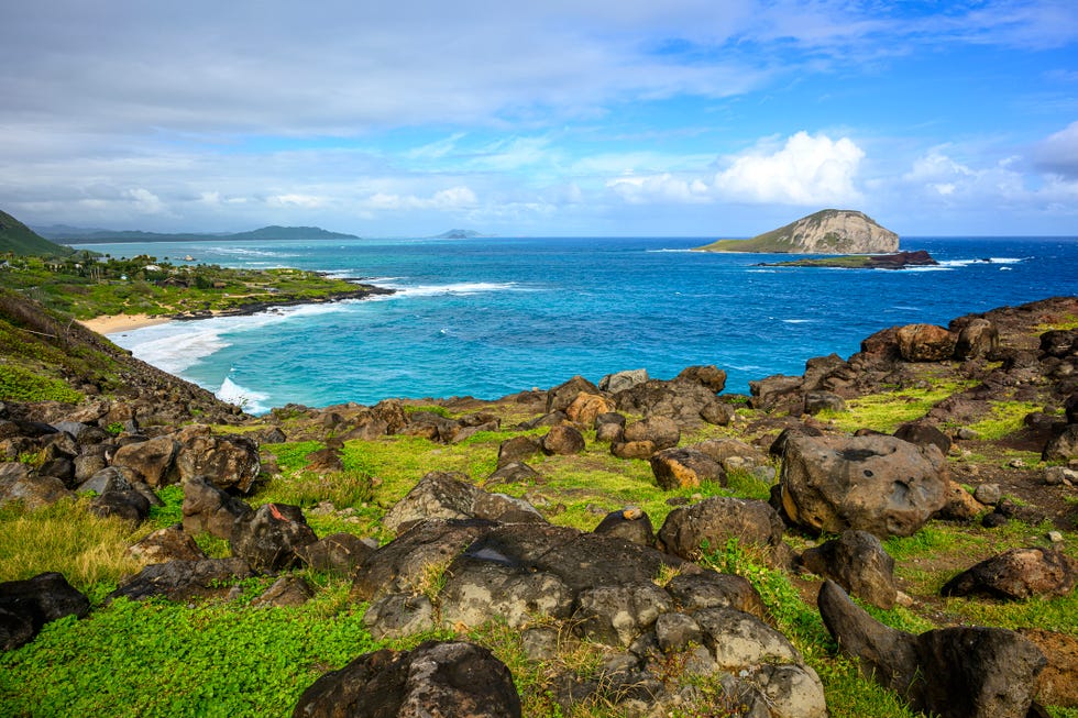 lava stones at the beach in hawaii