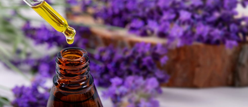 lavanda