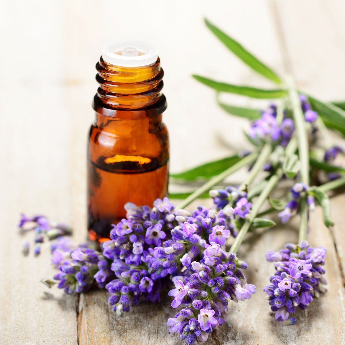 essential oils for lice