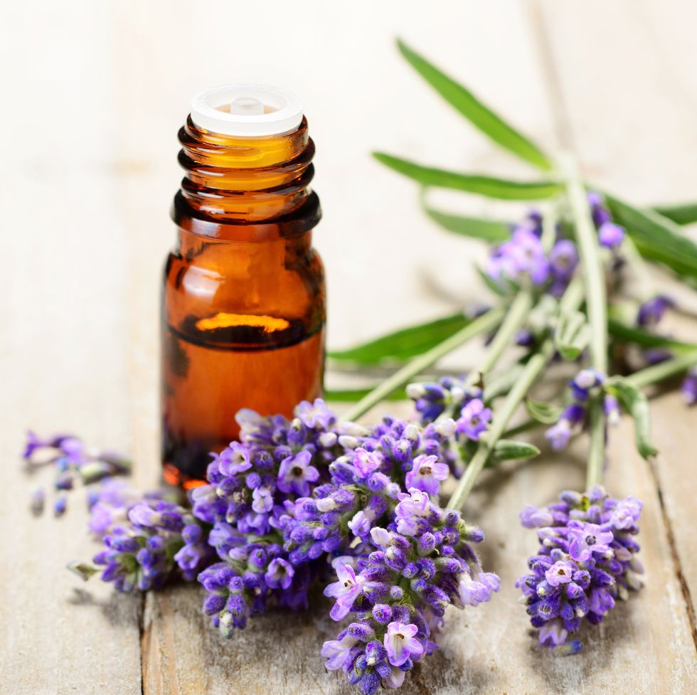 Lavender essential oil in the amber bottle, with fresh lavender flower heads.