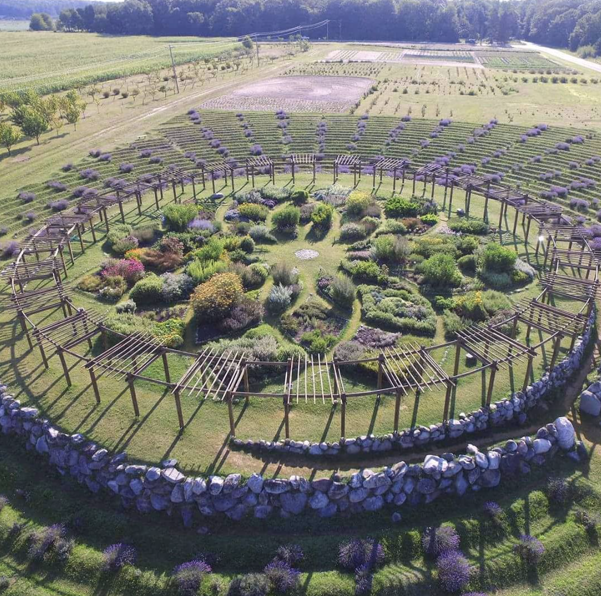 spiral lavender maze