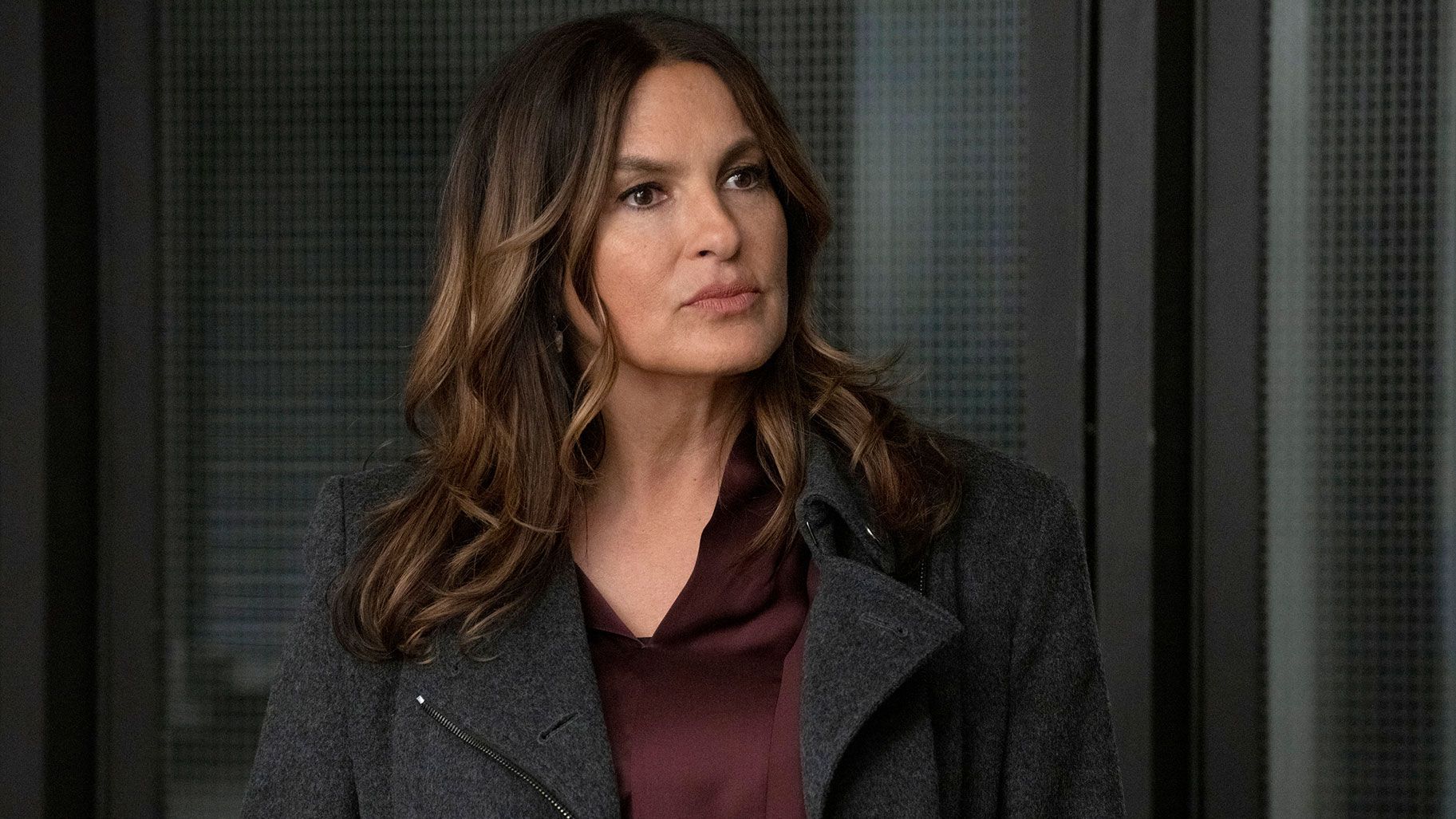 https://hips.hearstapps.com/hmg-prod/images/law-and-order-svu-season-25-release-date-cast-episodes-news-655ce0f6c5160.jpeg?crop=1xw:0.8435188989317995xh;center,top