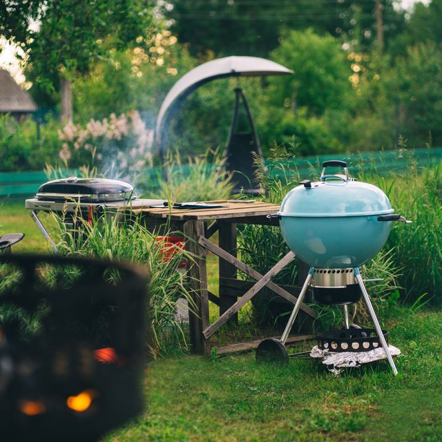 lawn in the courtyard of the house, different models of barbecues