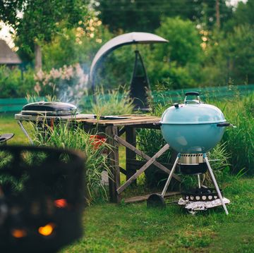 lawn in the courtyard of the house, different models of barbecues
