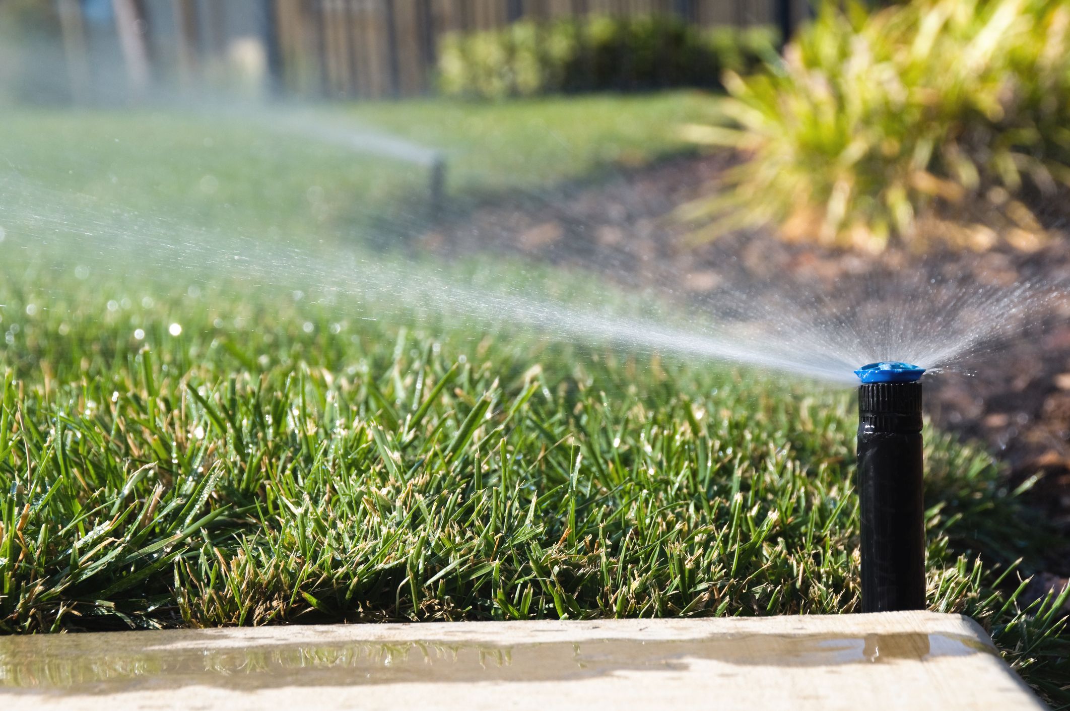 garden sprinkler system