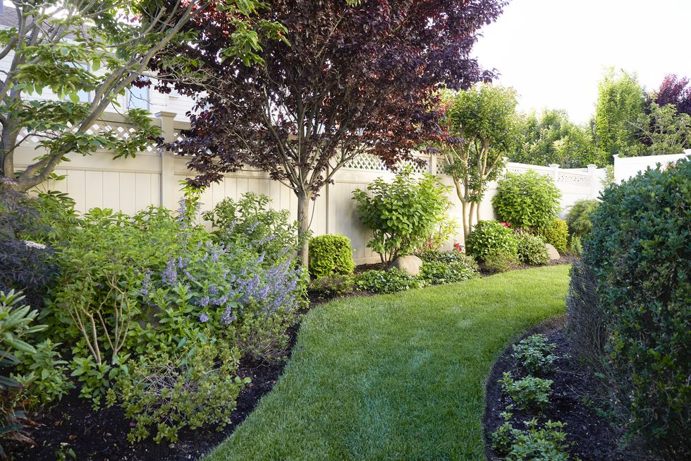 lawn, trees and flowers in backyard