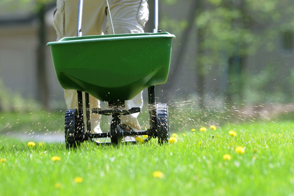 how to fix dry grass and brown spots on your lawn, lawn care, diy yard care