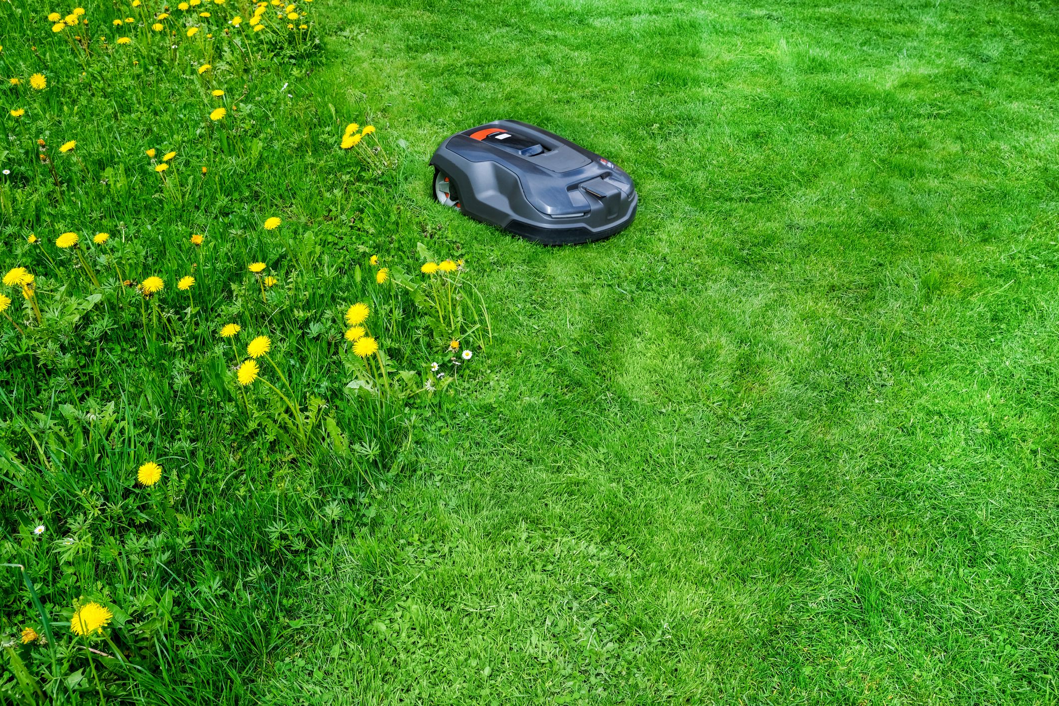 Roomba grass outlet cutting