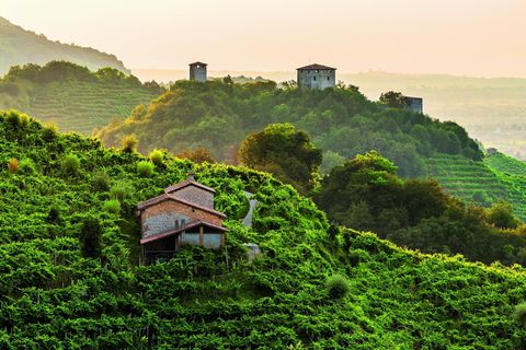 PROSECCOHEUVELS VAN CONEGLIANO E VALDOBBIADENE ITALIDe wijnterrassen van dit weelderige agrarische gebied getuigen van eeuwen van wijnbouwactiviteit en de teelt van de witte proseccodruif die hier tot op heden wordt geoogst