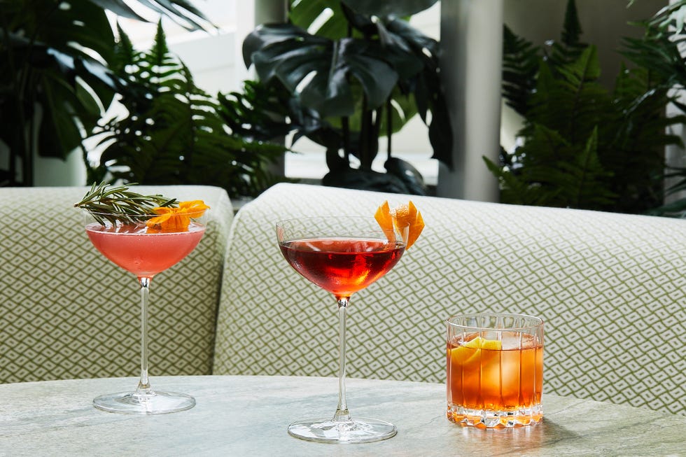 three cocktails on a table with greenery in the background