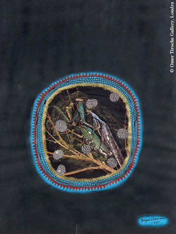 "Mantis", 1981, Yayoi Kusama.