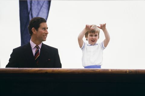 Le prince Charles et son fils William