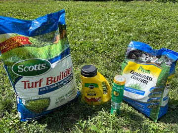 best crabgrass killers