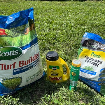 best crabgrass killers best crabgrass killers