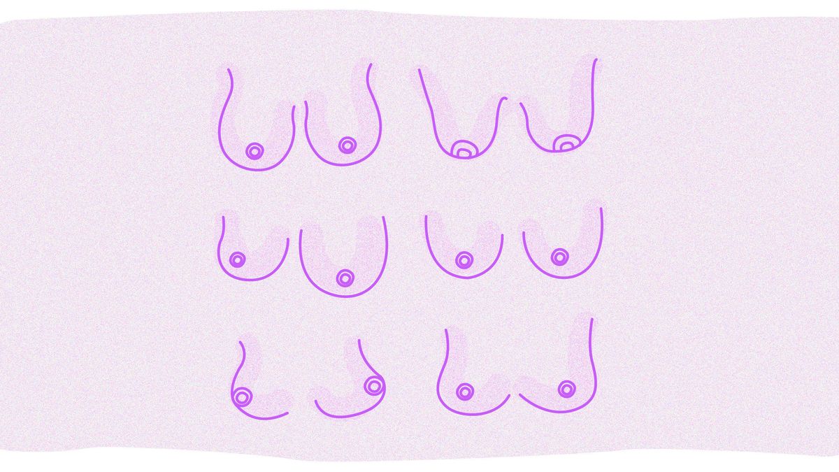 Different types of female breast hand drawing, set of breasts