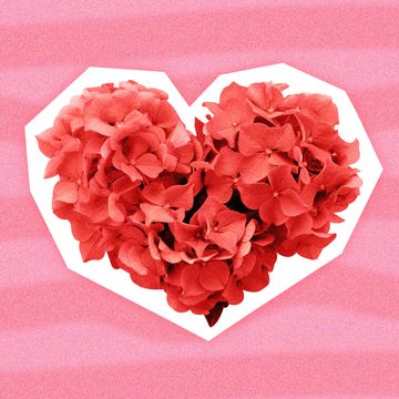 40 Cheap Valentine's Day Gifts - Affordable Gift Ideas Under $50