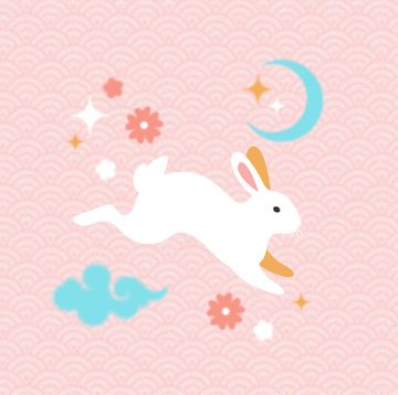the meaning behind the year of the rabbit – lunar new year 2023