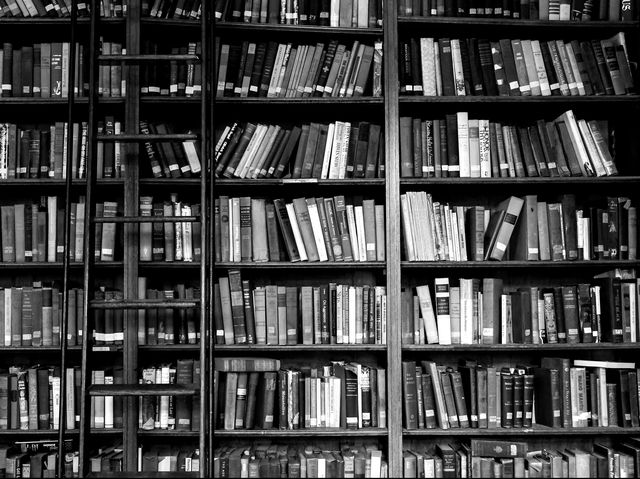 Library, Bookcase, Shelving, Shelf, Book, Building, Public library, Bookselling, Publication, Furniture, 