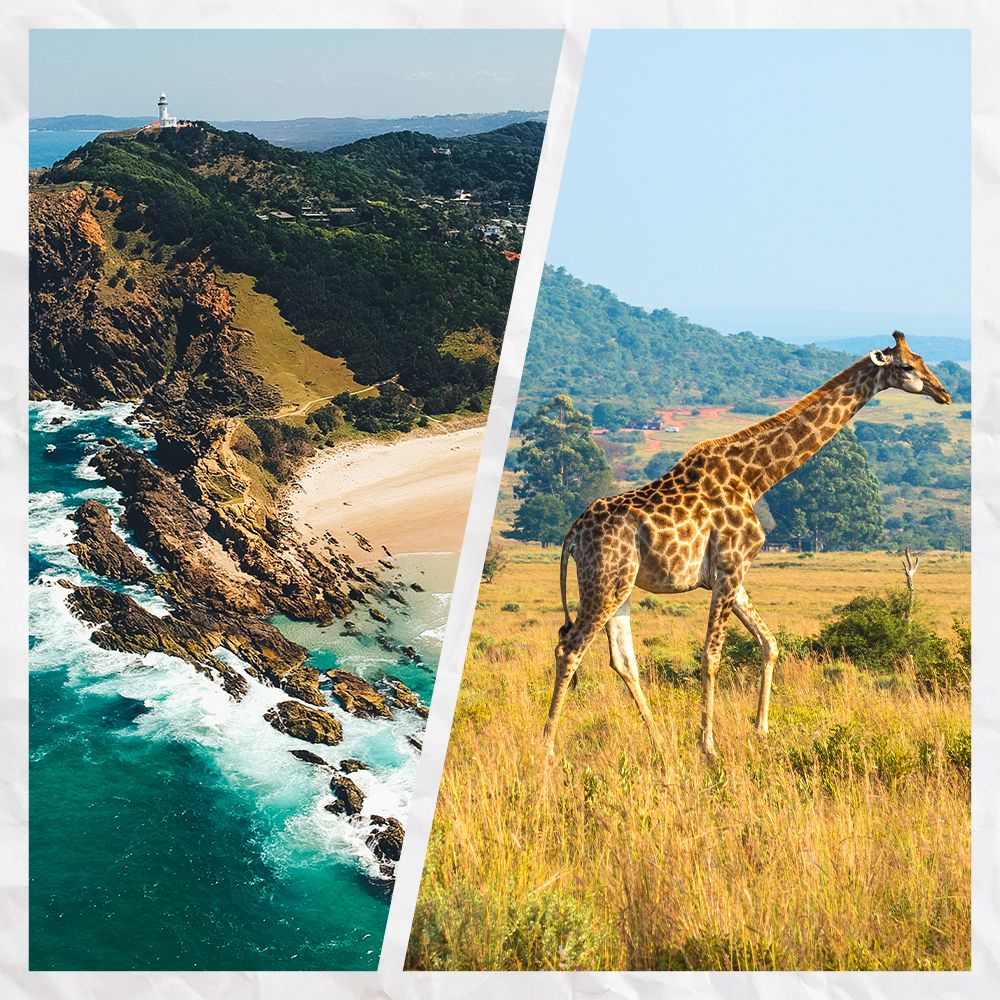 giraffe and australia coast