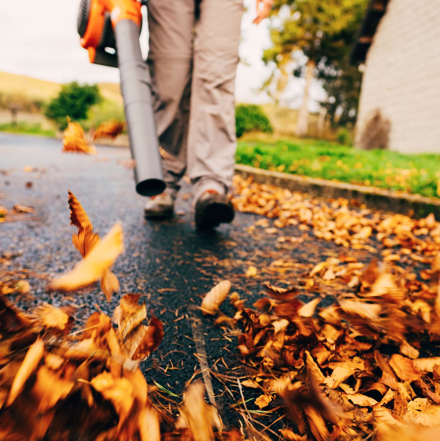 Should You Rake or Mulch Your Fall Leaves?