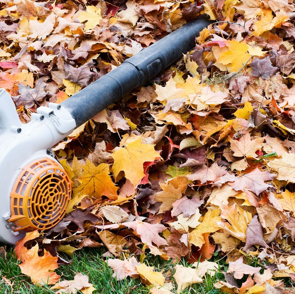 leaf blower on a pile of leaves fall clean up
