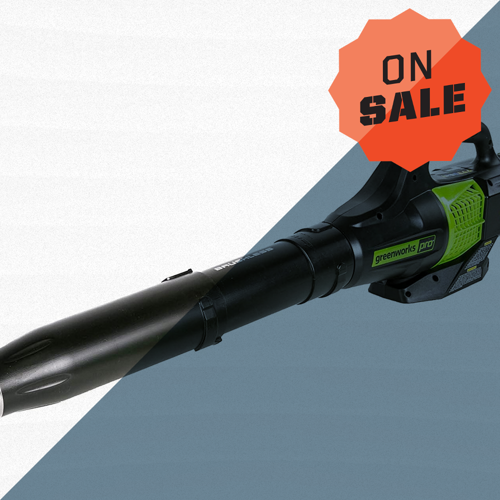 You Can Get This Lightweight Cordless Leaf Blower for Almost 37% Off on Amazon