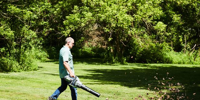 The 8 Best Cordless Leaf Blowers 2024 - Best Electric Blower Reviews
