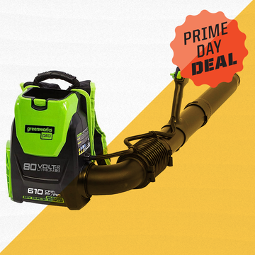 greenworks backpack leaf blower, prime day deal