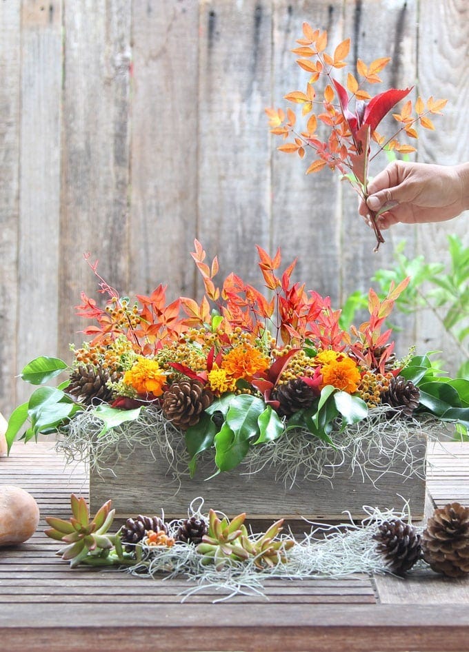 leaf crafts, a wooden box with leaves and pinecones inside