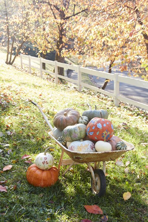 wheelbarrow outdoors filled with pumpkins decorated with leaf motifs for halloween
