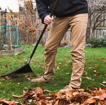 person raking leaves in backyard