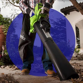 This is an image greenworks leaf vacuum