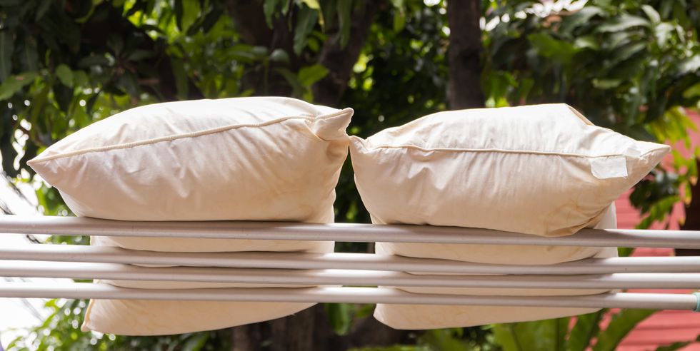 leave pillows in the sun to plump it up again
